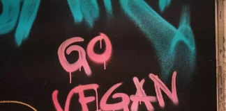 De bästa växtbaserade kycklingnuggets som du bör prova