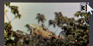 Vad är skillnaden mellan JPG och JPEG?