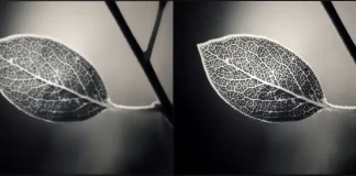 Vad är skärpan på en TV